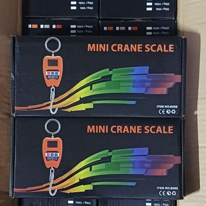 200kg mini crane scale