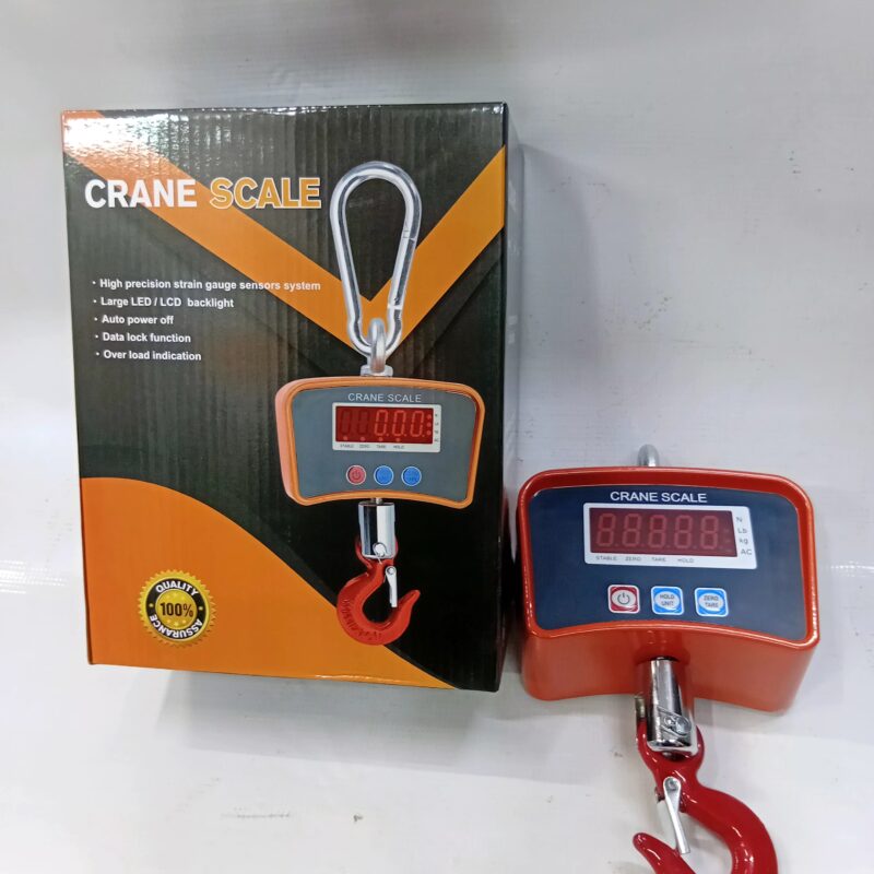 500kg Crane scale
