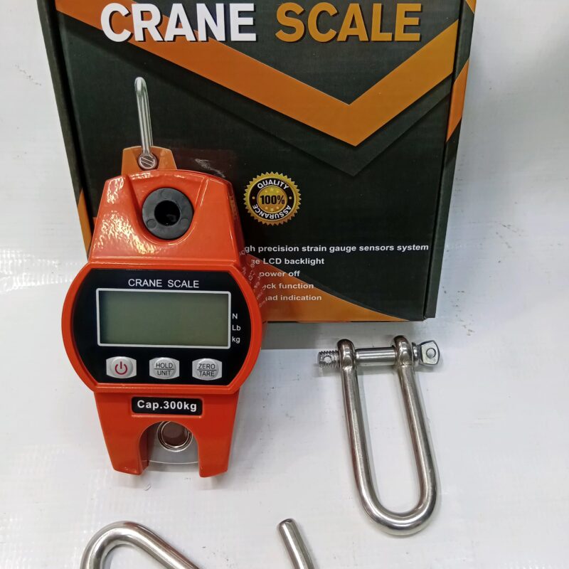 300kg crane scale
